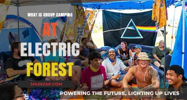 Group Camping: Electric Forest Style