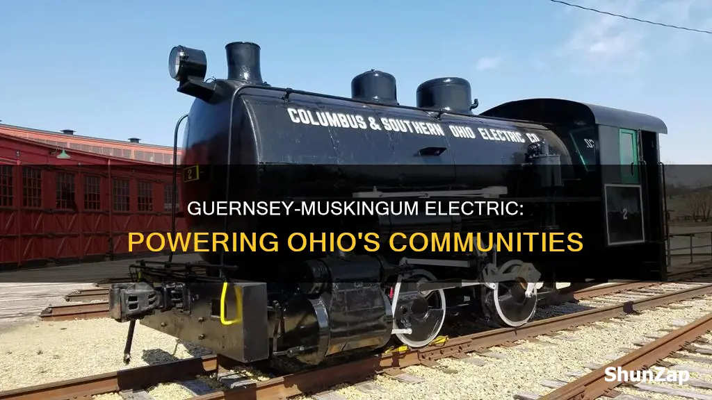 what is guernsey muskingum electric in ohio