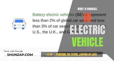 Unraveling the Mystery: Hairball Phenomenon in Electric Vehicles