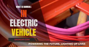 The Mystery of Electric Vehicle Hairballs Unraveled