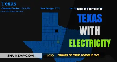 Texas Electricity Crisis: What's Happening and Why?