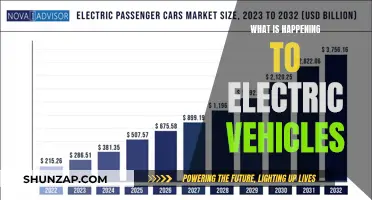 Electric Vehicles: The Future is Now, But Challenges Remain