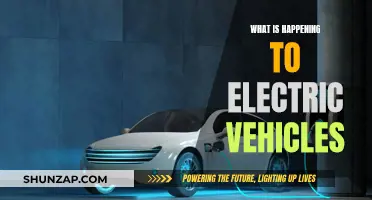 Electric Vehicles: The Future of Transportation?