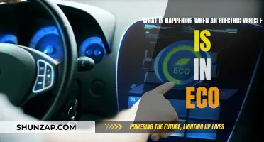 Unveiling the Secrets: What's Happening Inside an Eco-Friendly EV