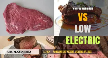 Broiling 101: High vs. Low Electric Settings