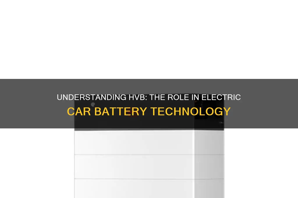 what is hvb in an electric car battery