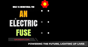Electric Fuse Essentials: What's Not Important and Why?