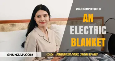 Electric Blanket Essentials for a Cozy Winter