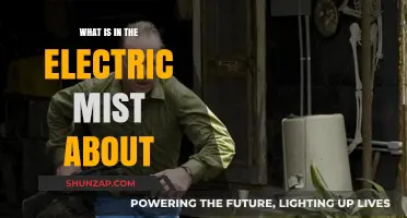 Electric Mist: A Murder Mystery in the Bayou