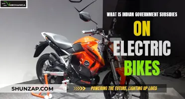 Electric Bike Revolution: Indian Government Subsidies Explained