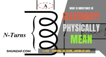 Inductance: The Physical Meaning of Electricity and Magnetism