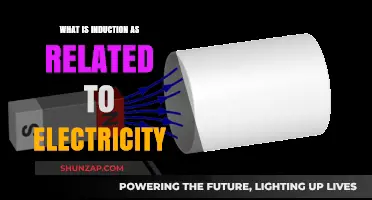 Induction: Electricity's Magnetic Attraction