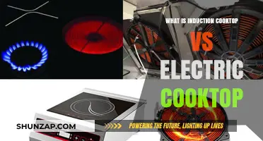 Induction vs Electric Cooktops: What's the Difference?