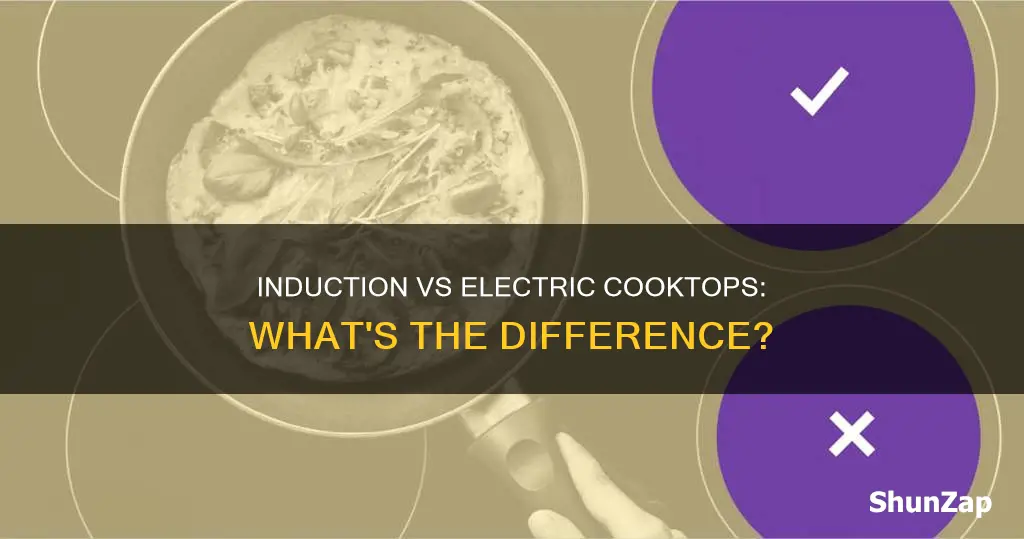 what is induction cooktop vs electric cooktop