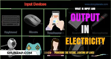 Electricity Basics: Understanding Input and Output