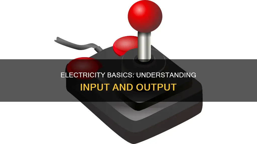 what is input and output in electricity