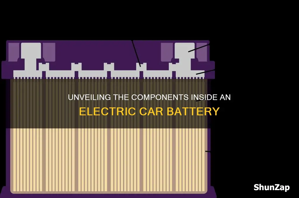 what is inside an electric car battery
