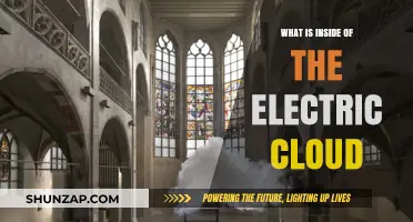 Electric Cloud: What's Inside?