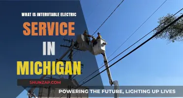 Electric Service in Michigan: What's Interruptible and Why?