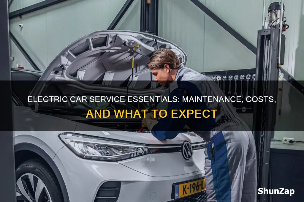 what is involved in an electric car service