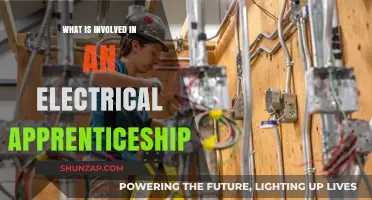 Electrical Apprenticeship: Training, Skills and Career Opportunities