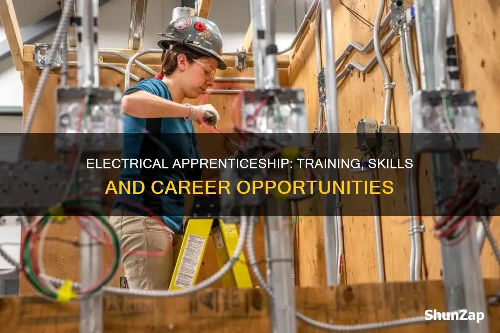 what is involved in an electrical apprenticeship