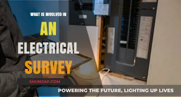 Electrical Survey: What's Involved and Why You Need One