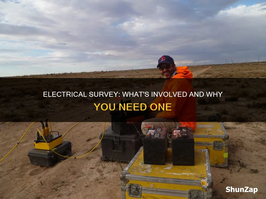 what is involved in an electrical survey