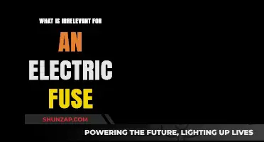 Electric Fuse: What's Unimportant?