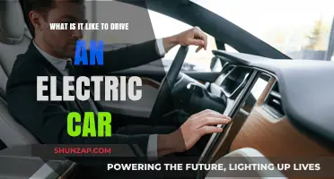 Experience the Future: Driving an Electric Car Explained