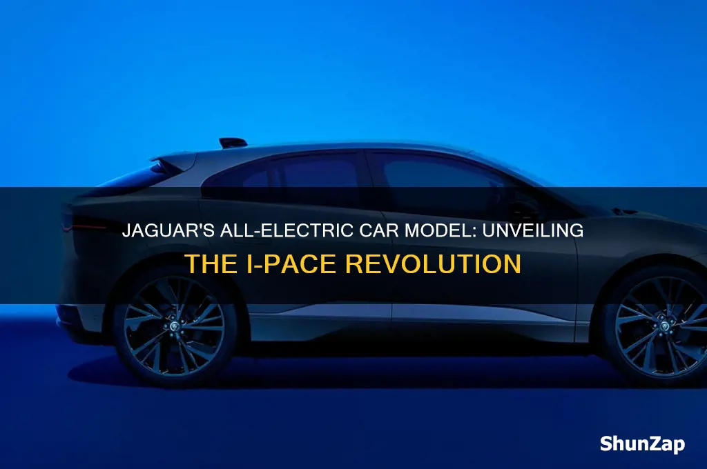 what is jaguar