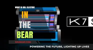 Electrician's Toolbox: KBL Electric in The Bear