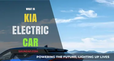 Exploring Kia's Electric Car Lineup: Features, Benefits, and Performance