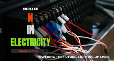 Electricity Basics: Understanding L and N
