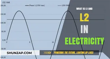 Understanding L1 and L2: The Basics of Electricity