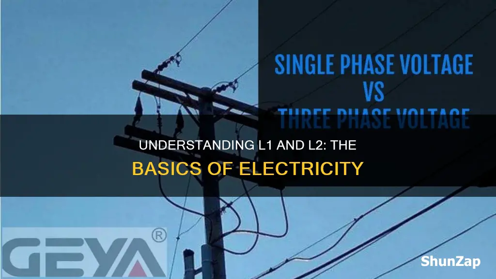 what is l1 and l2 in electricity