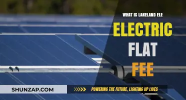 Lakeland Ele Electric: Flat Fee Explained