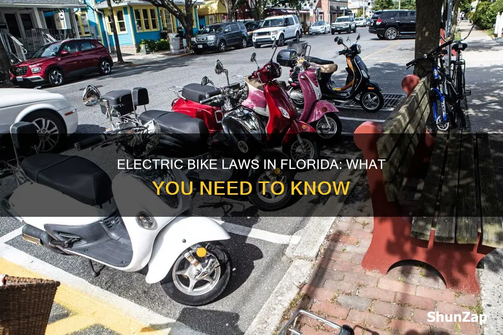 what is law on electric bikes florida