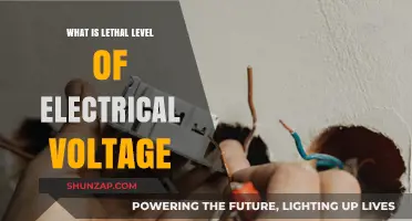 Understanding the Danger Zone of Electrical Voltage