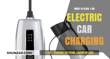 Understanding Level 1 Electric Car Charging: Basics and Benefits