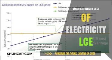 Understanding the Levelized Cost of Electricity (LCOE)