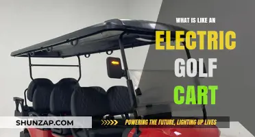 Golfing With a Twist: Electric Cart Experience