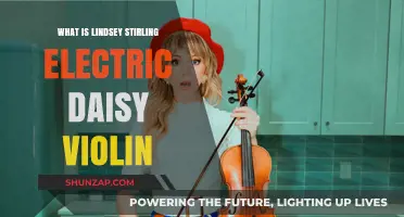 Lindsey Stirling's Electric Daisy Violin: A Unique Musical Experience