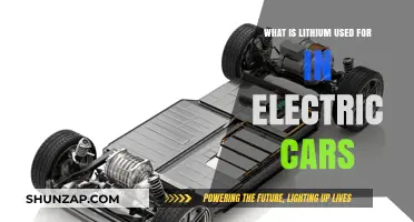 Lithium's Role in Electric Cars: Powering Sustainable Transportation