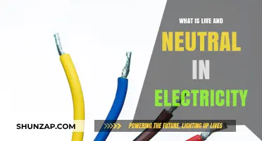 Understanding Live and Neutral Wires in Electrical Circuits