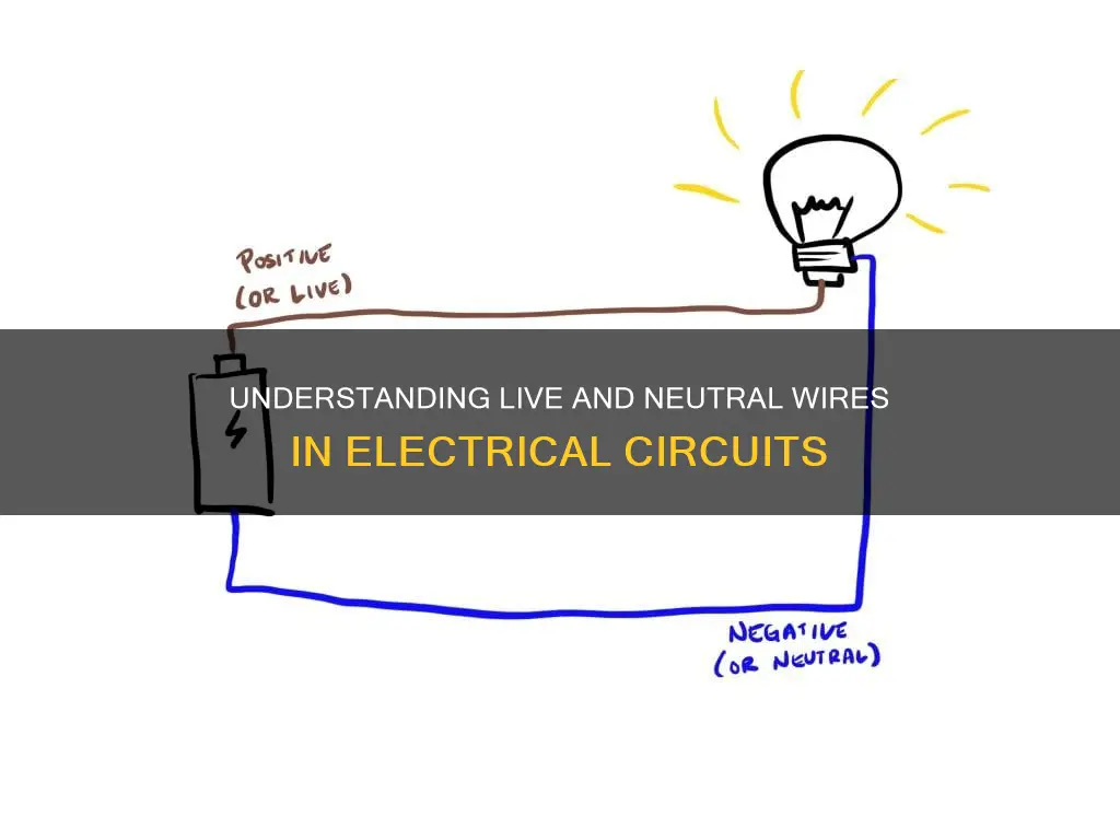 what is live and neutral in electricity