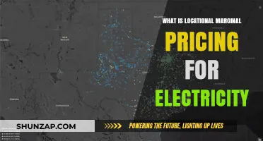 Understanding Locational Marginal Pricing for Electricity