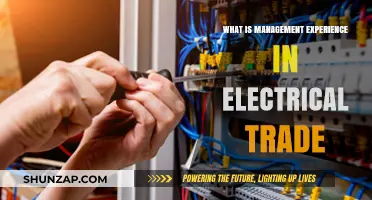 Electrical Trade: Managing a Skilled Team
