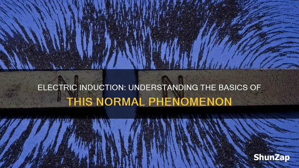 what is mean by normal electric induction