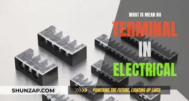 Understanding Electrical Terminals: What Does 'No Terminal' Mean?